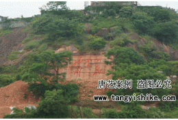 摩崖石刻-毛泽东《何处望神州》