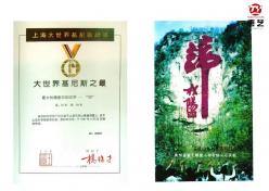 02河北平山天桂山景区摩崖石刻香港回归《归》字