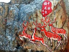 江西省九江市彭泽县山体喷绘项目《梅花鹿之乡》